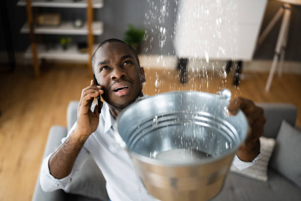 Best Water damage cleanup near me  in Crooksville, OH