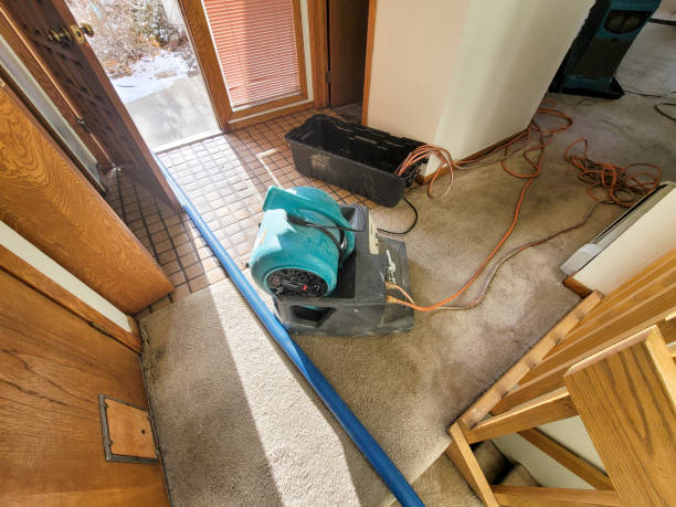 Best Water damage mitigation services  in Crooksville, OH